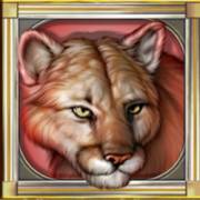 Cats: Lynx