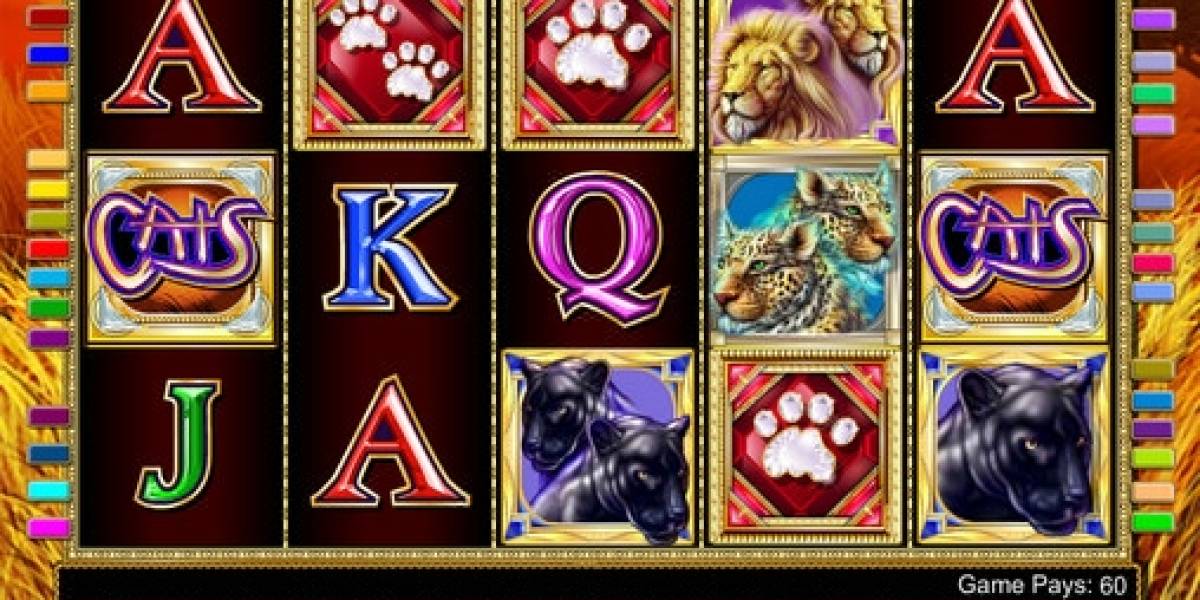 Cats