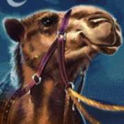 Camel symbol in 10 001 Nights MegaWays pokie
