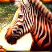 Zebra symbol in African Luck pokie