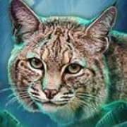 Manul symbol in Big Cat Rescue Megaways pokie