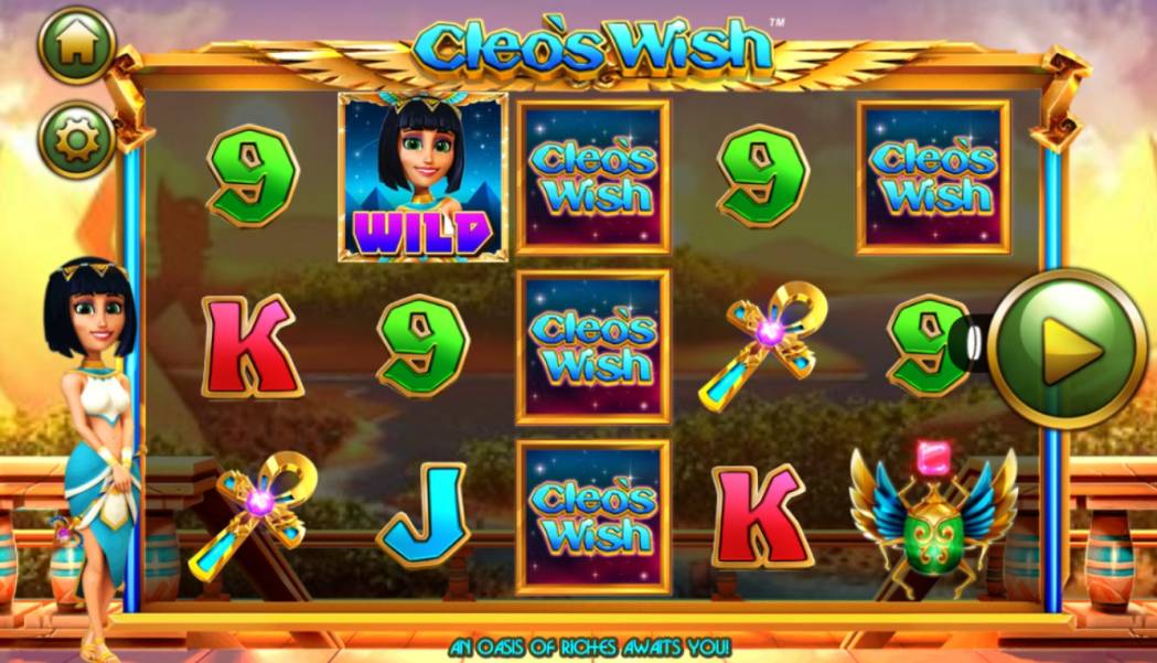 Cleo’s Wish