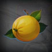 Cosmic Jokers: Lemon