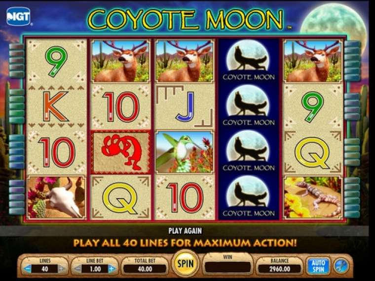 Play Coyote Moon pokie NZ