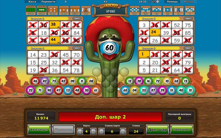 Play Crazy Cactus Bingo pokie NZ