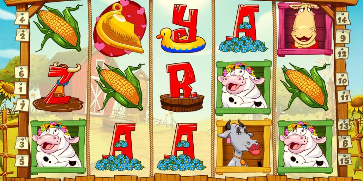 Crazy Cows