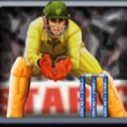 Cricket Star: A player in a yellow uniform