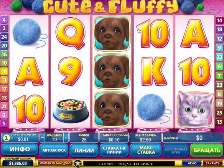 Play Cute and Fluffy pokie NZ