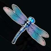 Dragonfly symbol in Big Bass Splash pokie