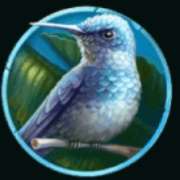 Hummingbird symbol in Silverback Gold pokie