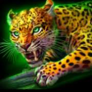 Leopard symbol in Mayan Blaze pokie