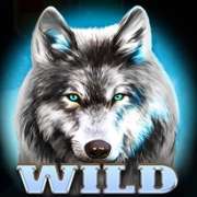 Wild symbol in Wolf Fang Winter Storm pokie