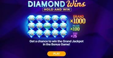 Diamond Wins: Hold and Win: Unique features