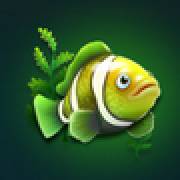 Dolphin Riches Hold and Win: Fish