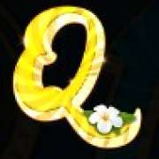 Q symbol in Summer Chill pokie