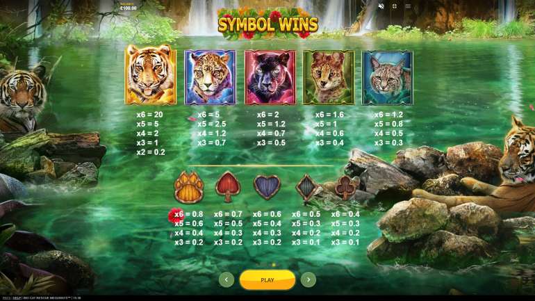 Symbol's cost in Big Cat Rescue Megaways Big Cat Rescue Megaways