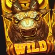 Wild symbol in Bison Battle pokie