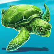 Turtle symbol in Fishin Bonanza pokie