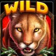 Wild symbol in Cougar Cash pokie