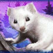 Arctic fox symbol in Icy Wilds pokie