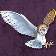 Owl symbol in Age of Athena pokie