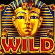 Wild symbol in Pyramid King pokie