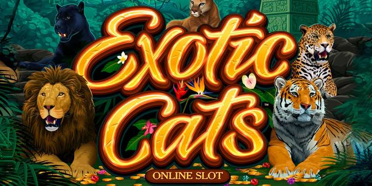 Play Exotic Cats pokie NZ