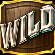 Wild symbol in The Bandit and the Baron pokie