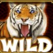 WIld symbol in Retro Tiger pokie