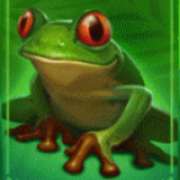 Frog symbol in Multifly! pokie