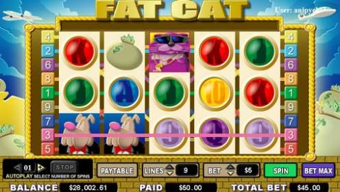 Fat Cat by Cryptologic NZ