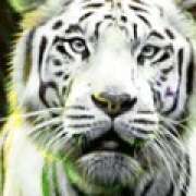Wild symbol in Big Cat Rescue Megaways pokie