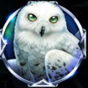 Owl symbol in Majestic Winter pokie