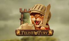 Play Feline Fury
