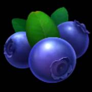 Fiery Slots Cash Mesh Ultra Dice: Blueberries