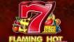 Flaming Hot Extreme logo