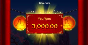 Fortune 88: Winnings