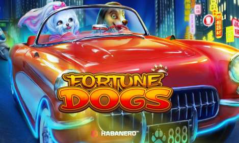 Fortune Dogs by Habanero NZ