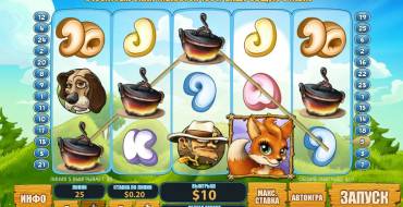 Foxy Fortunes: Payments