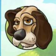 Foxy Fortunes: Dog
