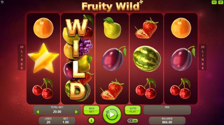 Play Fruity Wild pokie NZ