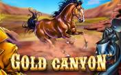 Gold Canyon logo