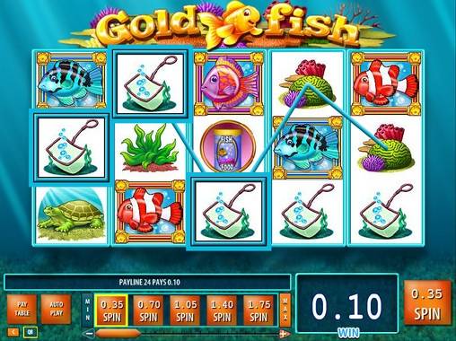Gold Fish