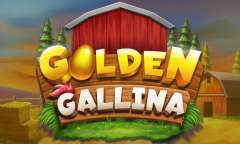 Play Golden Gallina