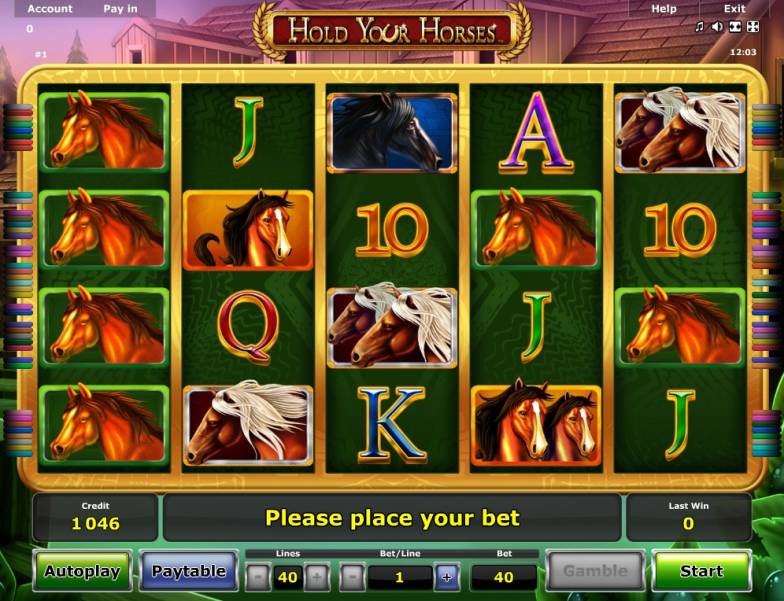 Hold Your Horses