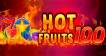 Hot Fruits 100 logo