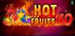 Hot Fruits 40 logo