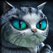 House of Fun: Cat
