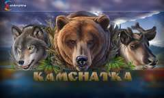 Play Kamchatka