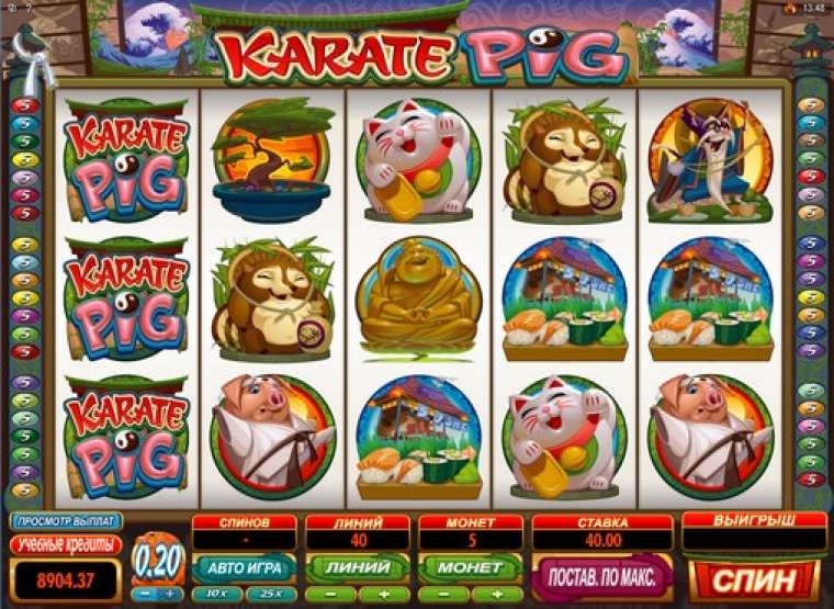 Play Karate Pig pokie NZ